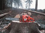 Lesnická práce, těžba dřeva, Pavel Košťál Výprachtice