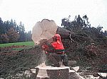 Lesnická práce, těžba dřeva Pavel Košťál Výprachtice