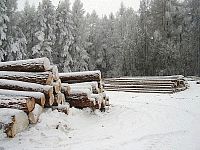 Les, palivové dříví, výroba Les, palivové dříví, výroba